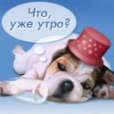 http:\\polimob.narod.ru\pic\nokia1pic\funy\pr033.jpg